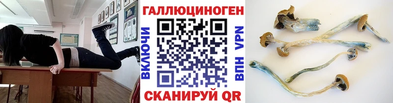 Купить  Щучье  Галлюциногенные грибы мухоморы 
