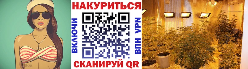 Купить  Щучье  Шишки марихуана White Widow 